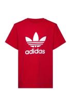 Trefoil Tee Red Adidas Originals