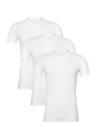 S/S Crew Neck 3Pk White Calvin Klein