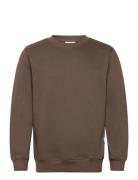 Crew Neck Sweat Brown Lindbergh