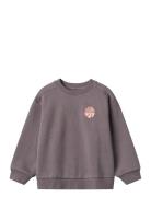 Sweatshirt L/S Ellis Purple Wheat