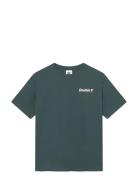 Wwliam Tee Aaneue 25220 Green WOOD WOOD