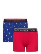 Ud-Underwear Patterned Ralph Lauren Kids