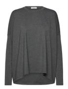 Carro Grey Movesgood