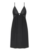 Aura Spotlight Ndk 04 X Black Triumph