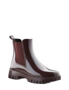 Peachy Dark Cherry Burgundy Lemon Jelly