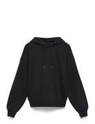 A- Logo Emb French Terry Po Hood Black Calvin Klein