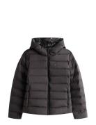 Tjw Slim Hood Prnt Down Jckt Ext Black Tommy Jeans