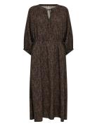 Sc-Aster Brown Soyaconcept