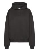 Cph Hoodie 7 Cotton Burgundy Black Copenhagen Studios