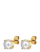 Daze Sg White Pearl Gold Dyrberg/Kern
