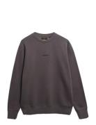 Micro Logo Crew Grey Superdry