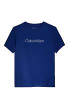 Inst. Logo Ss T-Shirt Blue Calvin Klein