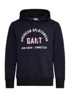 Printed Graphic Hoodie Navy GANT