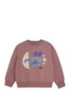 Sweatshirt Brown En Fant