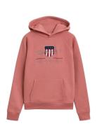 Archive Shield Hoodie Patterned GANT