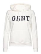 Reg Graphic Hoodie White GANT