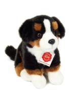 Sitting Bernese Mountain Dog 21 Cm Patterned Teddy Hermann