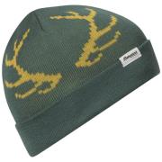 Bergans Kids' Antlers Beanie Forest Frost/Pineapple