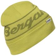 Bergans Juniors' Logo Beanie Green Oasis/Dark Green Oasis