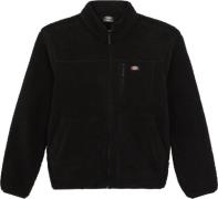 Dickies Men's Mount Hope Fleece Black