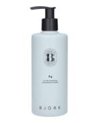 Björk Ag Silver Shampoo 300 ml
