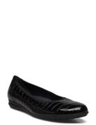 Ballerina Ballerinasko Ballerinaer Black Gabor