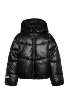 Jacket Puffer Fôret Jakke Black Lindex