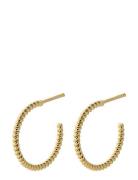 Small Twisted Creoles Accessories Jewellery Earrings Hoops Gold Pernil...
