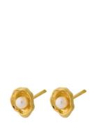 Hidden Pearl Earsticks Accessories Jewellery Earrings Studs Gold Perni...