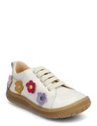 Shoes - Flat - With Lace Lave Sneakers Cream ANGULUS