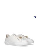Low Cut Lace-Up Sneaker Lave Sneakers White Tommy Hilfiger