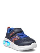 J Assister Boy C Lave Sneakers Blue GEOX