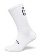 Halo Seamless Socks Lingerie Socks Regular Socks White HALO