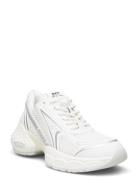 Satellite Sneaker Lave Sneakers White Steve Madden