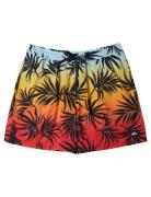 Everyday Mix Volley 15 Badeshorts Multi/patterned Quiksilver