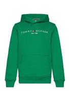 Essential Hoodie Tops Sweat-shirts & Hoodies Hoodies Green Tommy Hilfi...