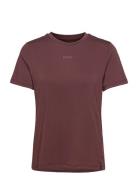 Borg Regular T-Shirt Sport T-shirts & Tops Short-sleeved Brown Björn B...