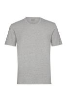 Bamboo Tee Tops T-shirts Short-sleeved Grey Frank Dandy