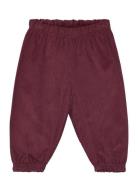 Corduroy Flared Pants Baby Bottoms Trousers Burgundy Müsli By Green Co...
