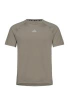 Adidas Gym+ Training T-Shirt Sport T-shirts Short-sleeved Green Adidas...