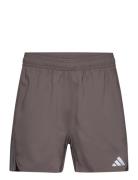 Hiit 3S Mes Sho Sport Shorts Sport Shorts Brown Adidas Performance