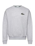 Sweatshirts Tops Sweat-shirts & Hoodies Sweat-shirts Grey Lacoste