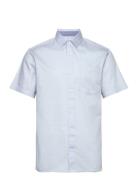 Bedford Shirt Tops Shirts Short-sleeved Blue Tom Tailor