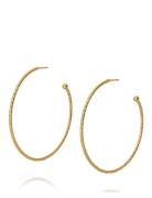 Evita Loop Earrings Accessories Jewellery Earrings Hoops Gold Caroline...