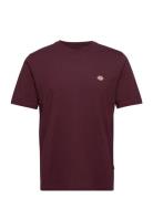 Ss Mapleton Tee Designers T-shirts Short-sleeved Burgundy Dickies