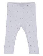 Leggings Rib Bottoms Leggings Blue Fixoni