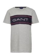 Tb. Gant Archive Ss T-Shirt Tops T-shirts Short-sleeved Grey GANT