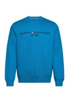 Tommy Logo Sweatshirt Tops Sweat-shirts & Hoodies Sweat-shirts Blue To...