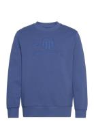 Reg Tonal Shield C-Neck Sweat Tops Sweat-shirts & Hoodies Sweat-shirts...