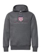 Reg Archive Shield Hoodie Tops Sweat-shirts & Hoodies Hoodies Grey GAN...